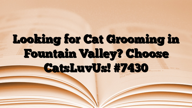 Looking for Cat Grooming in Fountain Valley? Choose CatsLuvUs!