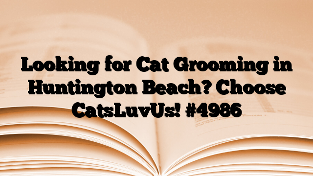 Looking for Cat Grooming in Huntington Beach? Choose CatsLuvUs!