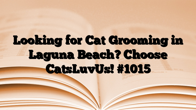 Looking for Cat Grooming in Laguna Beach? Choose CatsLuvUs!