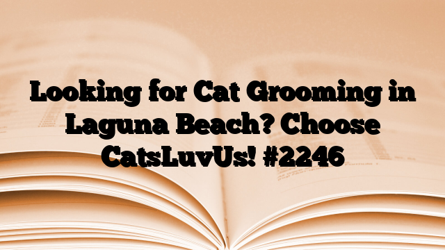 Looking for Cat Grooming in Laguna Beach? Choose CatsLuvUs!