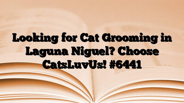 Looking for Cat Grooming in Laguna Niguel? Choose CatsLuvUs!