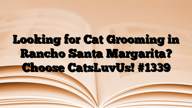 Looking for Cat Grooming in Rancho Santa Margarita? Choose CatsLuvUs!