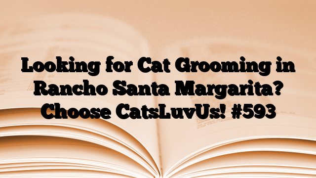 Looking for Cat Grooming in Rancho Santa Margarita? Choose CatsLuvUs!