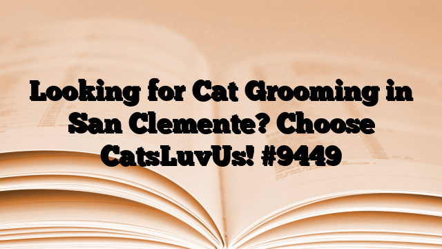 Looking for Cat Grooming in San Clemente? Choose CatsLuvUs!