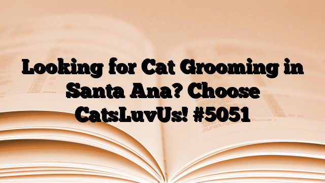 Looking for Cat Grooming in Santa Ana? Choose CatsLuvUs!