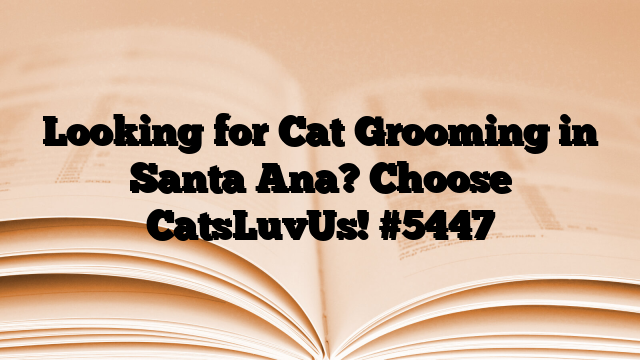 Looking for Cat Grooming in Santa Ana? Choose CatsLuvUs!
