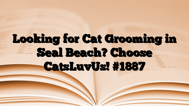 Looking for Cat Grooming in Seal Beach? Choose CatsLuvUs!