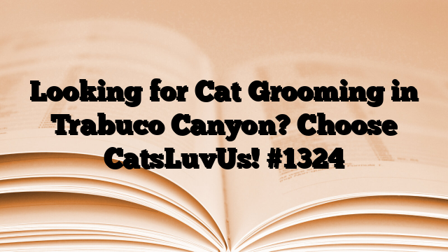 Looking for Cat Grooming in Trabuco Canyon? Choose CatsLuvUs!