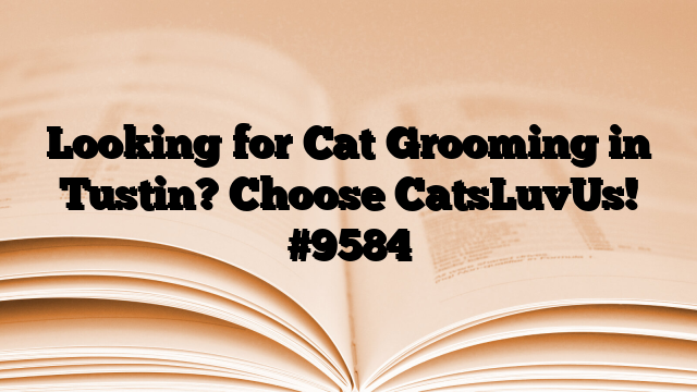 Looking for Cat Grooming in Tustin? Choose CatsLuvUs!