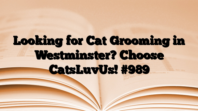 Looking for Cat Grooming in Westminster? Choose CatsLuvUs!