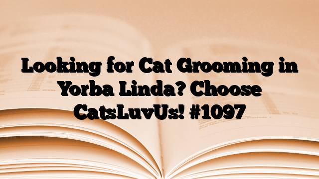 Looking for Cat Grooming in Yorba Linda? Choose CatsLuvUs!