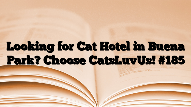 Looking for Cat Hotel in Buena Park? Choose CatsLuvUs!