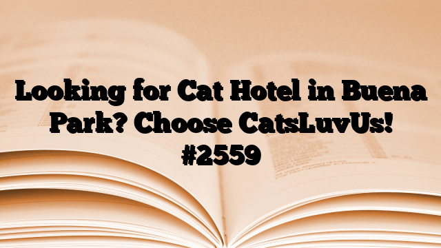 Looking for Cat Hotel in Buena Park? Choose CatsLuvUs!