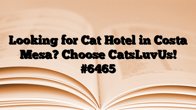 Looking for Cat Hotel in Costa Mesa? Choose CatsLuvUs!
