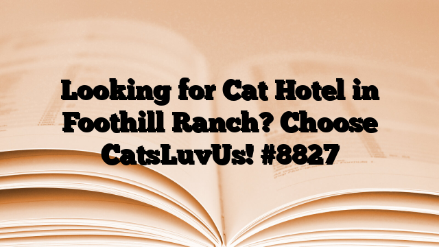 Looking for Cat Hotel in Foothill Ranch? Choose CatsLuvUs!