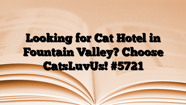 Looking for Cat Hotel in Fountain Valley? Choose CatsLuvUs!