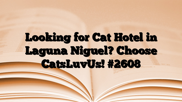 Looking for Cat Hotel in Laguna Niguel? Choose CatsLuvUs!