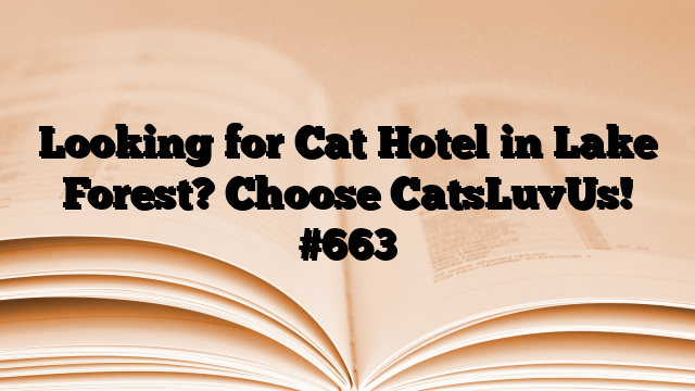 Looking for Cat Hotel in Lake Forest? Choose CatsLuvUs!