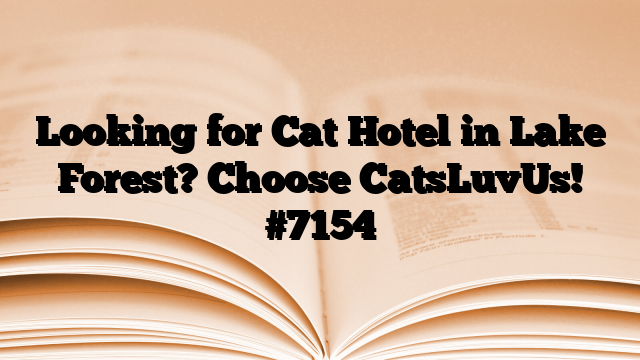 Looking for Cat Hotel in Lake Forest? Choose CatsLuvUs!