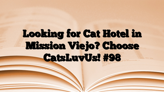 Looking for Cat Hotel in Mission Viejo? Choose CatsLuvUs!