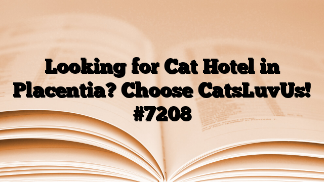 Looking for Cat Hotel in Placentia? Choose CatsLuvUs!