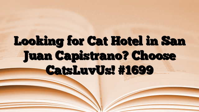 Looking for Cat Hotel in San Juan Capistrano? Choose CatsLuvUs!