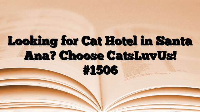 Looking for Cat Hotel in Santa Ana? Choose CatsLuvUs!