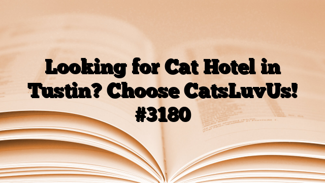 Looking for Cat Hotel in Tustin? Choose CatsLuvUs!