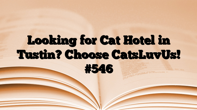 Looking for Cat Hotel in Tustin? Choose CatsLuvUs!