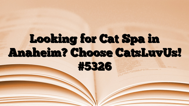 Looking for Cat Spa in Anaheim? Choose CatsLuvUs!