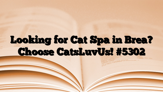 Looking for Cat Spa in Brea? Choose CatsLuvUs!
