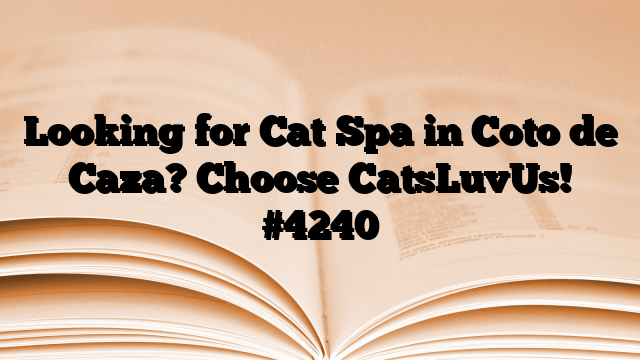 Looking for Cat Spa in Coto de Caza? Choose CatsLuvUs!