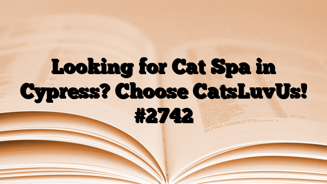 Looking for Cat Spa in Cypress? Choose CatsLuvUs!