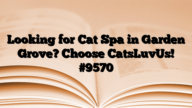 Looking for Cat Spa in Garden Grove? Choose CatsLuvUs!