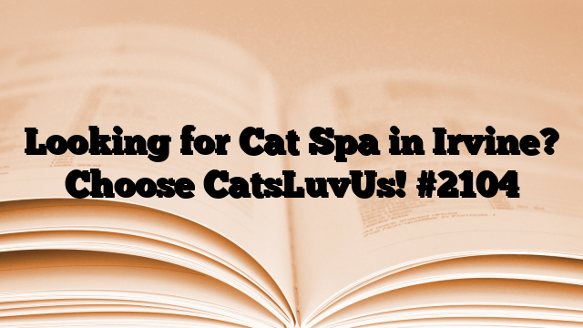 Looking for Cat Spa in Irvine? Choose CatsLuvUs!