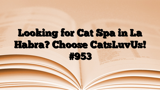 Looking for Cat Spa in La Habra? Choose CatsLuvUs!