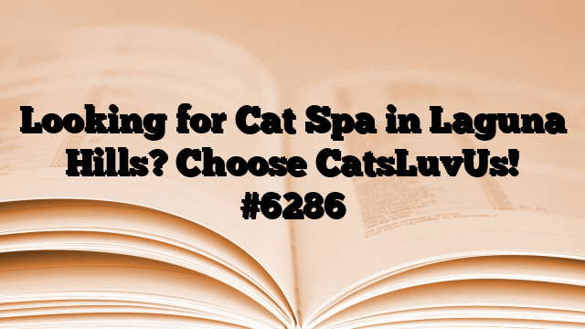 Looking for Cat Spa in Laguna Hills? Choose CatsLuvUs!