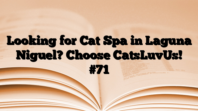 Looking for Cat Spa in Laguna Niguel? Choose CatsLuvUs!