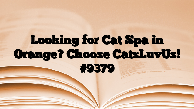 Looking for Cat Spa in Orange? Choose CatsLuvUs!