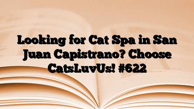 Looking for Cat Spa in San Juan Capistrano? Choose CatsLuvUs!