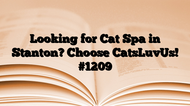 Looking for Cat Spa in Stanton? Choose CatsLuvUs!