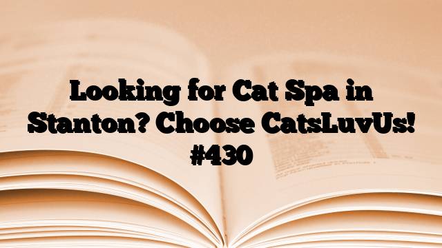 Looking for Cat Spa in Stanton? Choose CatsLuvUs!