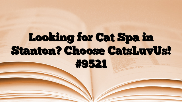 Looking for Cat Spa in Stanton? Choose CatsLuvUs!