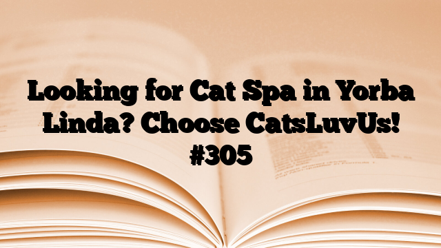 Looking for Cat Spa in Yorba Linda? Choose CatsLuvUs!