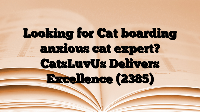 Looking for Cat boarding anxious cat expert? CatsLuvUs Delivers Excellence