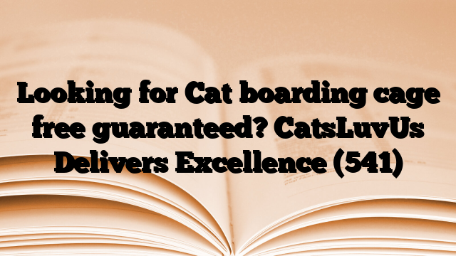 Looking for Cat boarding cage free guaranteed? CatsLuvUs Delivers Excellence