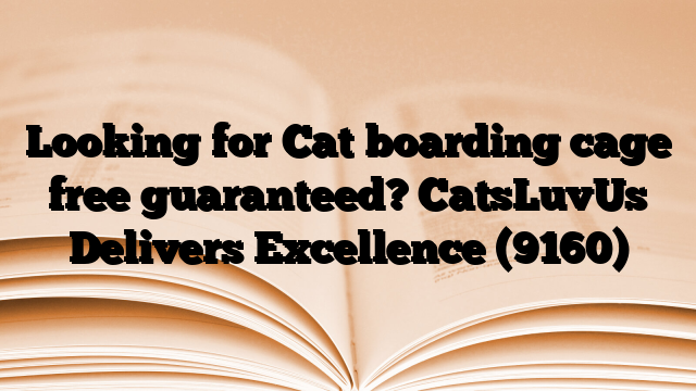 Looking for Cat boarding cage free guaranteed? CatsLuvUs Delivers Excellence