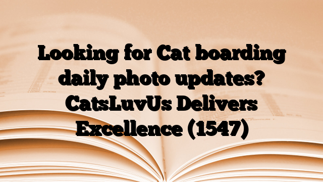 Looking for Cat boarding daily photo updates? CatsLuvUs Delivers Excellence