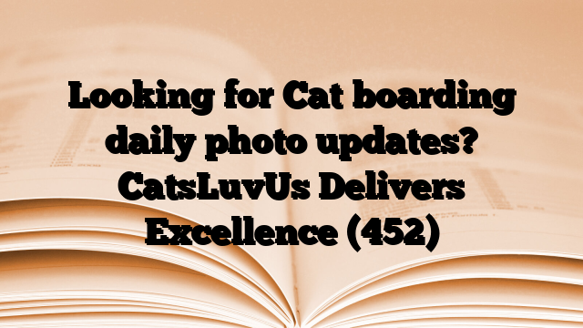 Looking for Cat boarding daily photo updates? CatsLuvUs Delivers Excellence