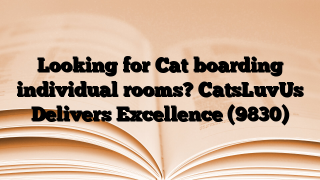 Looking for Cat boarding individual rooms? CatsLuvUs Delivers Excellence